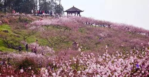 澳门十大娱乐平台入口网址